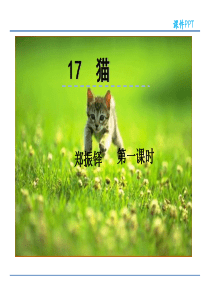 17猫第一课时