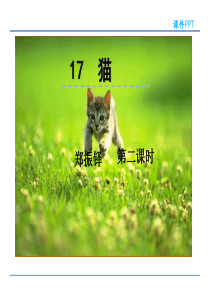 17猫第二课时