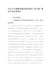 2023年主题教育整改落实情况“回头看”情况专项自查报告