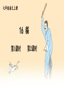 16 猫【教案匹配版】推荐❤