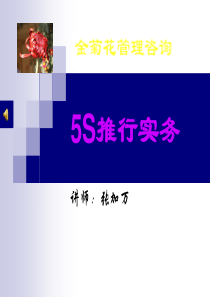 5S管理实务（PPT110页)