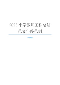 2023小学教师工作总结范文年终范例