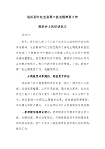 组织部长在全县第二批主题教育工作推进会上的讲话范文