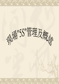 5S管理概述