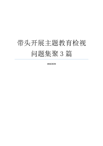 带头开展主题教育检视问题集聚3篇