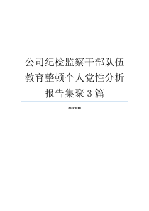 公司纪检监察干部队伍教育整顿个人党性分析报告集聚3篇