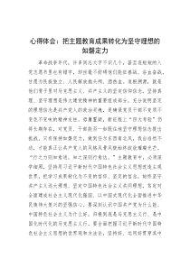 心得体会：把主题教育成果转化为坚守理想的如磐定力