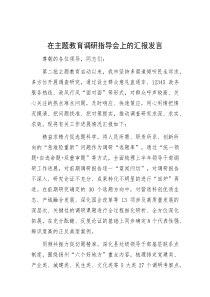 在主题教育调研指导会上的汇报发言