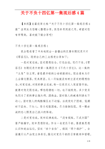 关于不负十四亿第一集观后感4篇