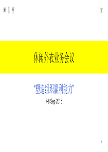 某跨国知名服装企业业务报告