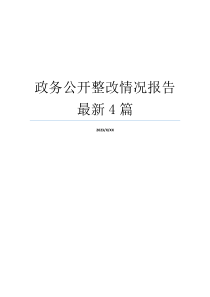 政务公开整改情况报告最新4篇