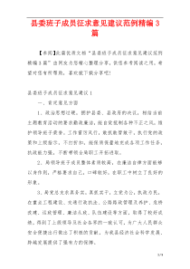 县委班子成员征求意见建议范例精编3篇