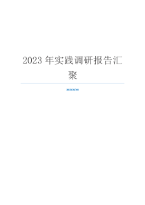 2023年实践调研报告汇聚