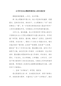 公司书记在主题教育推进会上的汇报发言