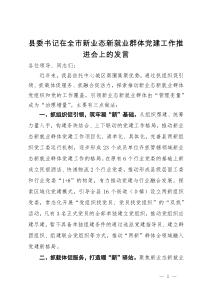 县委书记在全市新业态新就业群体党建工作推进会上的发言