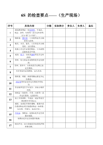 6S 的检查要点