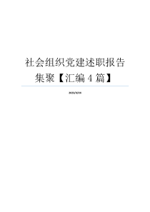 社会组织党建述职报告集聚【汇编4篇】