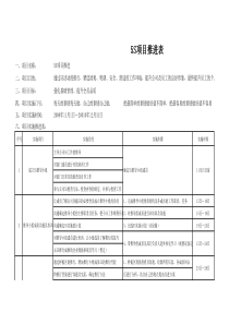 5S项目推进表