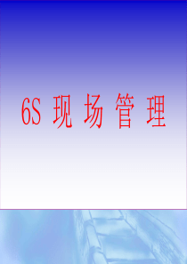 6s(文化专栏)(1)