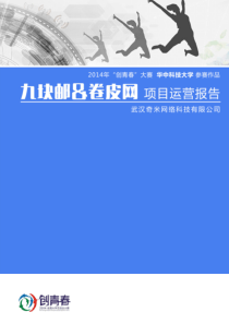 华中科技大学 武汉奇米网络科技有限公司项目运营报告