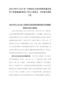 2023年学习《关于进一步推动长江经济带高质量发展若干政策措施的意见》研讨心得体会、发言稿【两篇