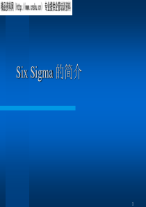 6SIGMA-5PPT28(1)