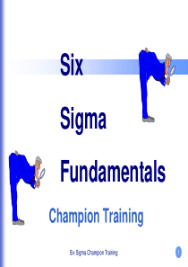 6sigmachampion培训教材(3)