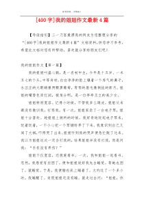 [400字]我的姐姐作文最新4篇