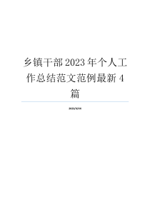 乡镇干部2023年个人工作总结范文范例最新4篇