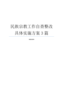 民族宗教工作自查整改具体实施方案3篇