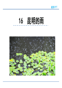 初中语文【8年级上】16  昆明的雨