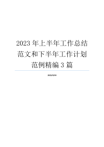 2023年上半年工作总结范文和下半年工作计划范例精编3篇