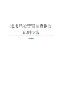 通用风险管理自查报告范例多篇