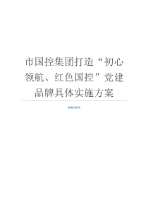 市国控集团打造“初心领航、红色国控”党建品牌具体实施方案