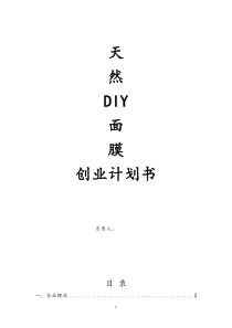 天然DIY面膜创业计划书