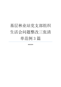 基层林业站党支部组织生活会问题整改三张清单范例3篇