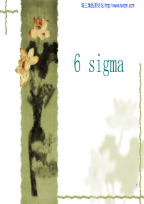 6SIGMA系统讲义