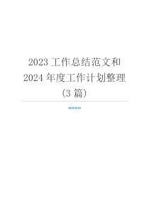 2023工作总结范文和2024年度工作计划整理(3篇)