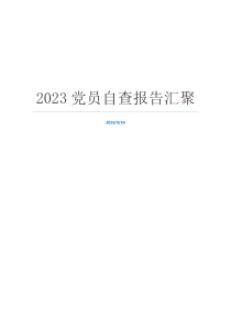 2023党员自查报告汇聚