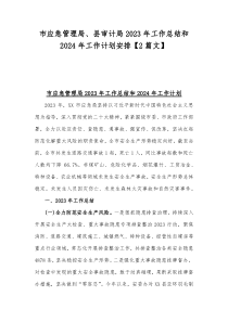 市应急管理局、县审计局2023年工作总结和2024年工作计划安排【2篇文】