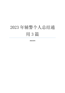 2023年辅警个人总结通用3篇