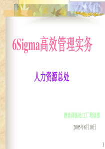 6SIGMA高效管理实务