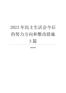 2023年民主生活会今后的努力方向和整改措施3篇