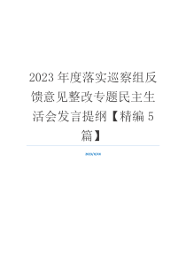 2023年度落实巡察组反馈意见整改专题民主生活会发言提纲【精编5篇】