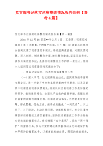 党支部书记落实巡察整改情况报告范例【参考4篇】