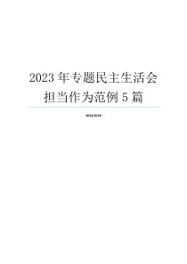 2023年专题民主生活会担当作为范例5篇