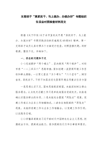 支部班子“真抓实干、马上就办、办就办好”专题组织生活会对照检查材料范文