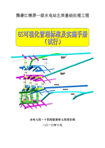 6S可视化管理标准(试行)