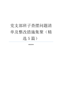 党支部班子查摆问题清单及整改措施集聚（精选5篇）