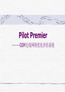 测试软件使用-PREMIER